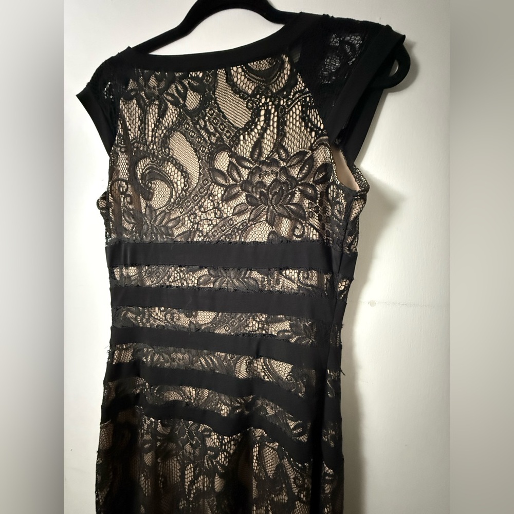 Caralese Black Lace Overlay Sheath Dress with Beige Liner